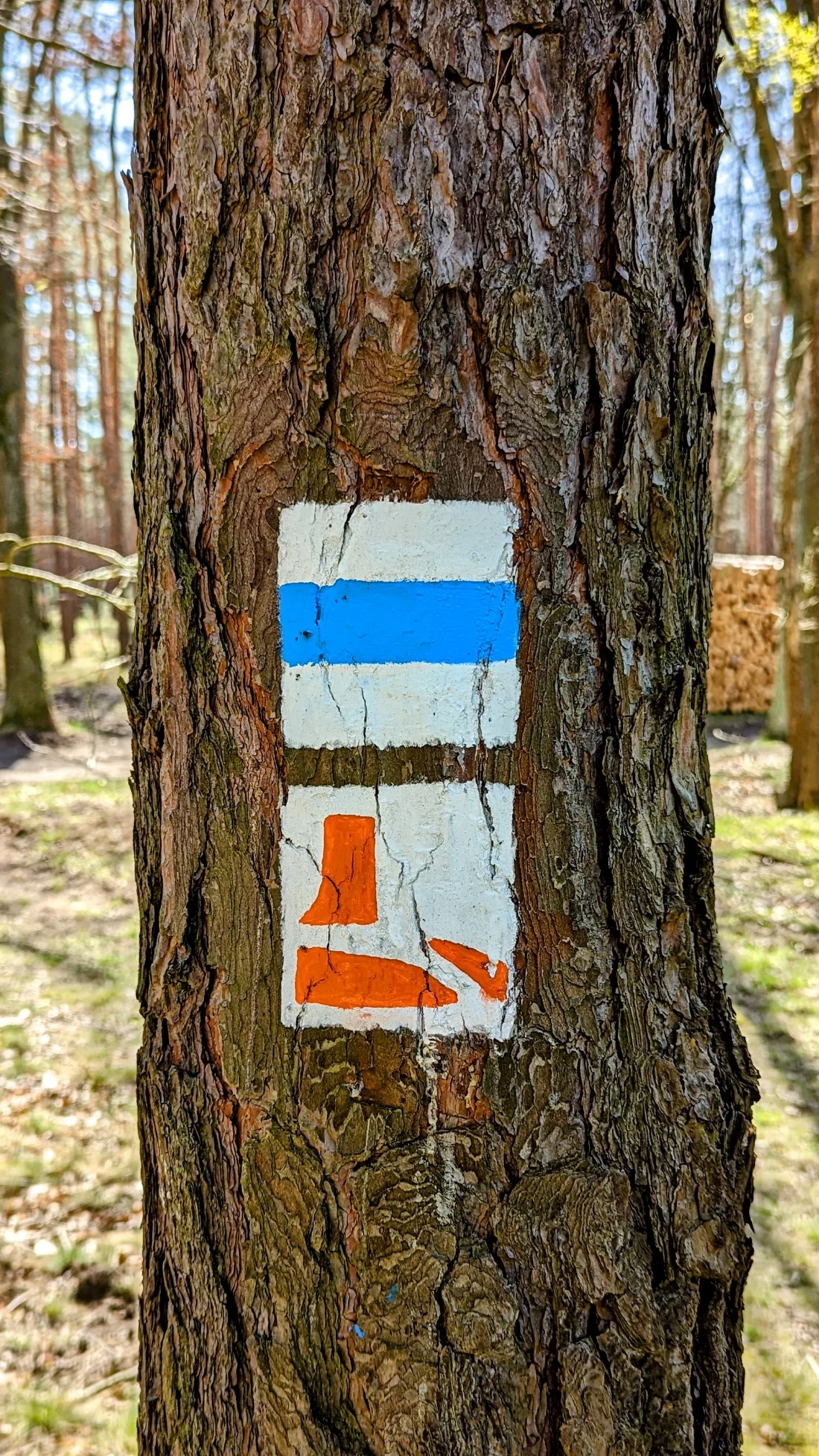 Der Burgenwanderweg zu Fuß: 151 Kilometer in sechs Etappen