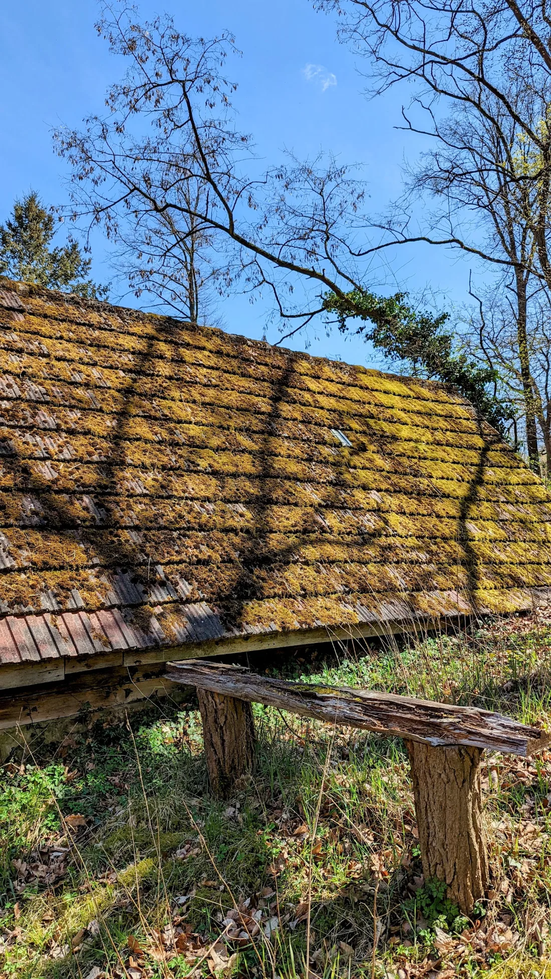 Moosbewachsenes Dach mit Holzbank in Dippmannsdorf