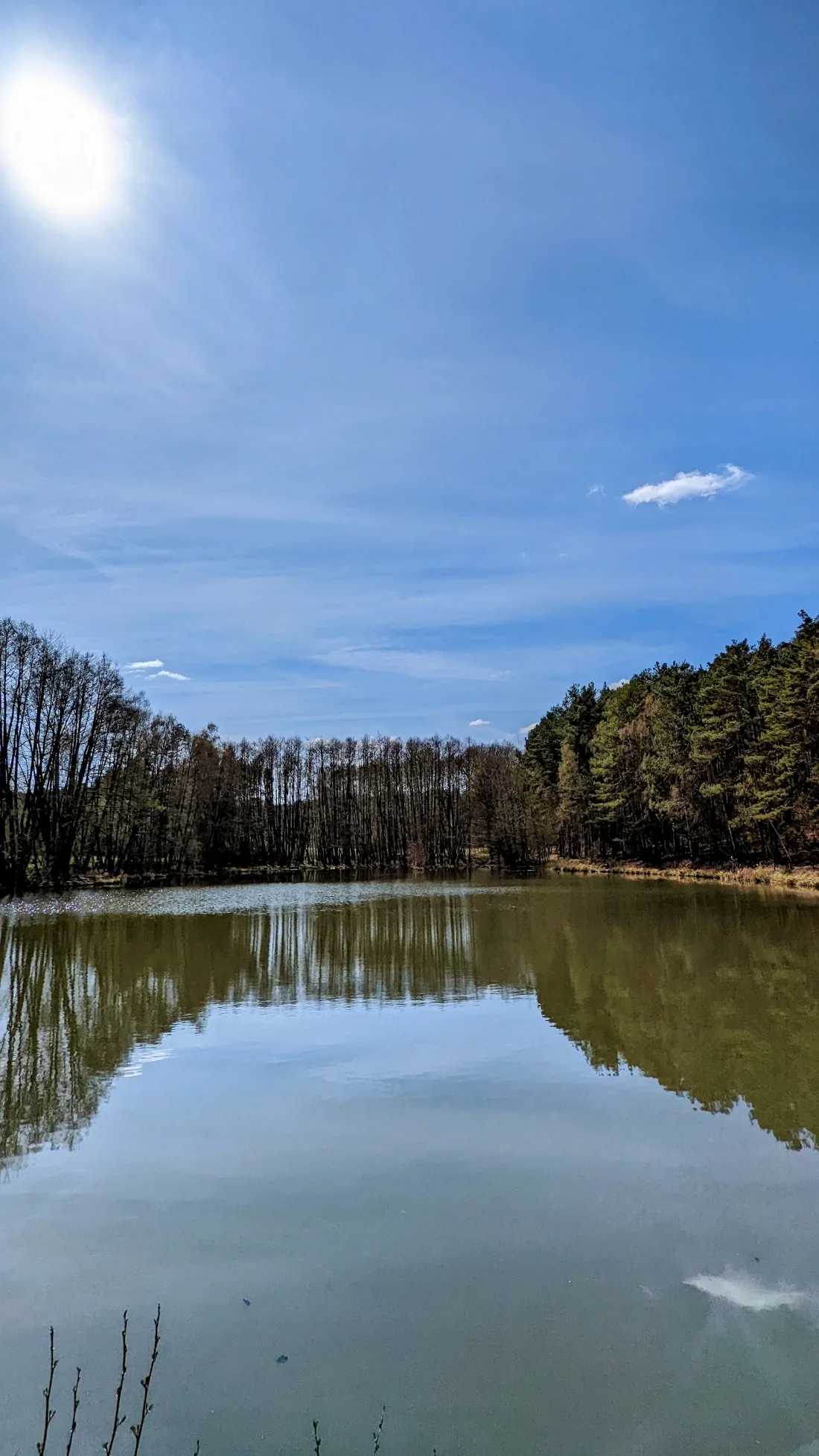Teich mit Spiegelung von Kiefern bei Lütte