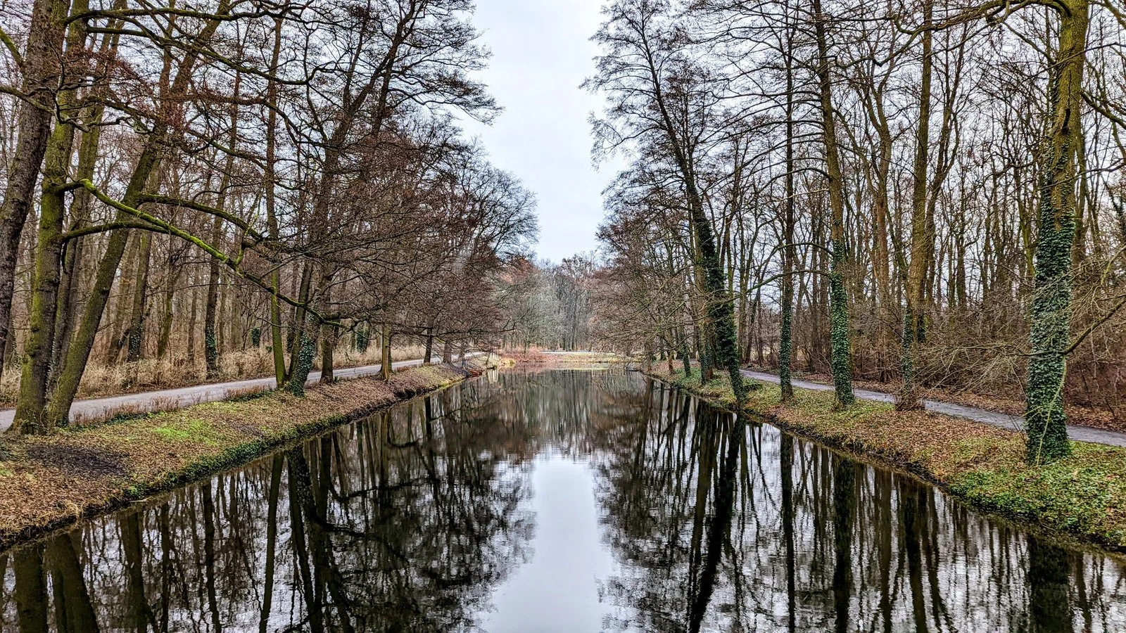 Gerader Wasserlauf zwischen kahlen Bäumen im Volkspark Jungfernheide, Charlottenburg-Nord