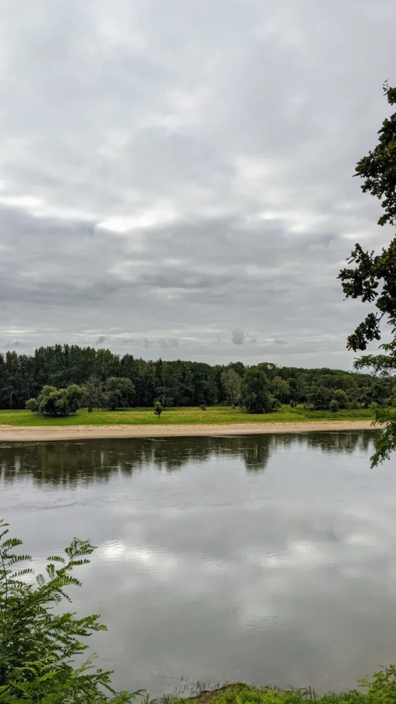 Stilles Gewässer in der Elbaue östlich von Coswig, am Ufer Bäume