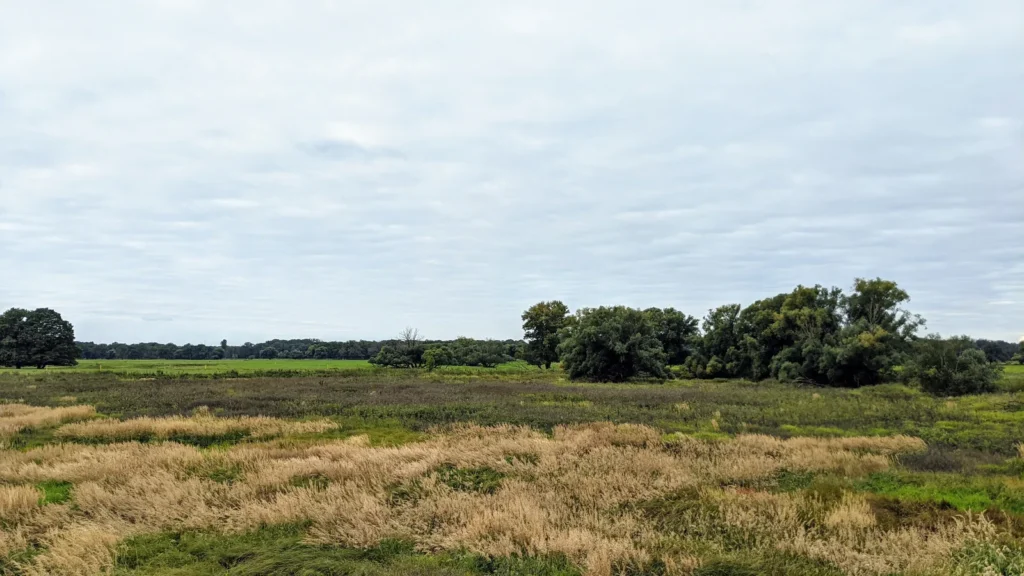 Weite Wiesen und Felder zwischen Griebo und Apollensdorf, am Horizont Bäume