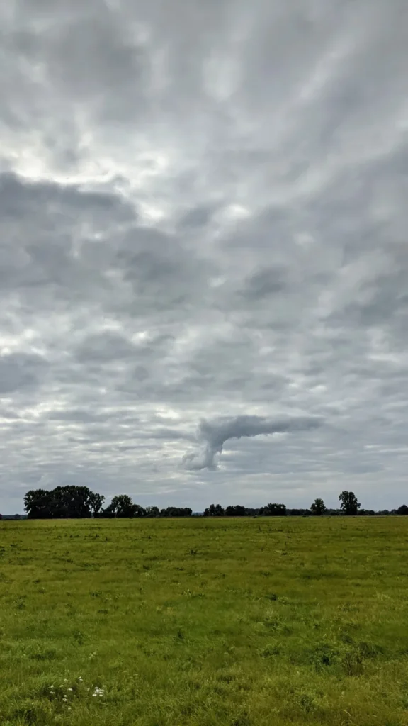 Wiese unter bewölktem Himmel bei Apollensdorf