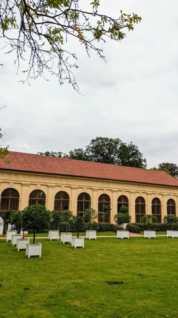 Gelbe Orangerie im Luisium mit Rundbogenfenstern, davor Kübelbäume auf dem Rasen
