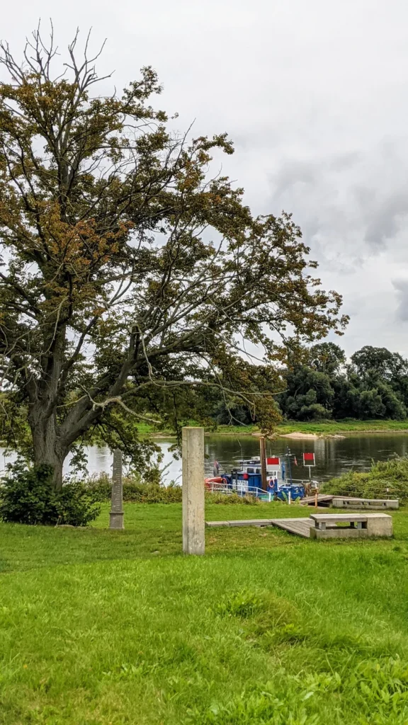 Elbufer bei Vockerode mit Anleger, davor eine alte Eiche