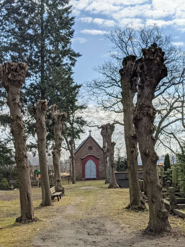 Kleine Backsteinkapelle am Ende einer Allee gekappter Bäume auf dem Friedhof Kupferhammer in Eberswalde