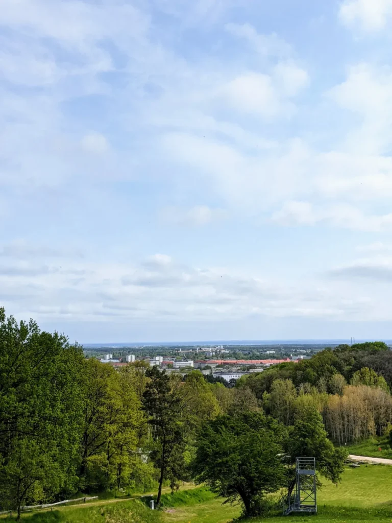 Blick von den Diehloer Bergen über Baumkronen auf Eisenhüttenstadt und das Stahlwerk am Horizont
