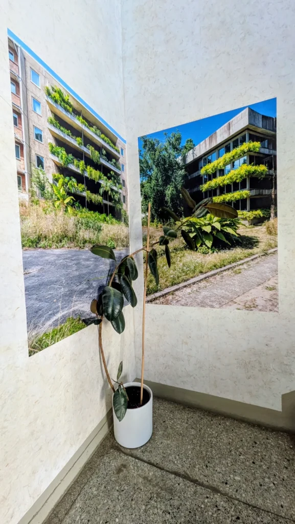 Zimmerecke mit zwei großen Fotos leerstehender, begrünter Plattenbauten, davor ein Gummibaum im Topf