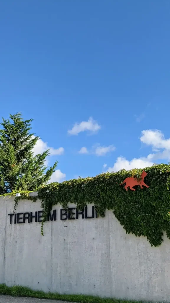 Betonwand mit dem Schriftzug Tierheim Berlin und rotem Vogellogo am Hausvaterweg in Falkenberg