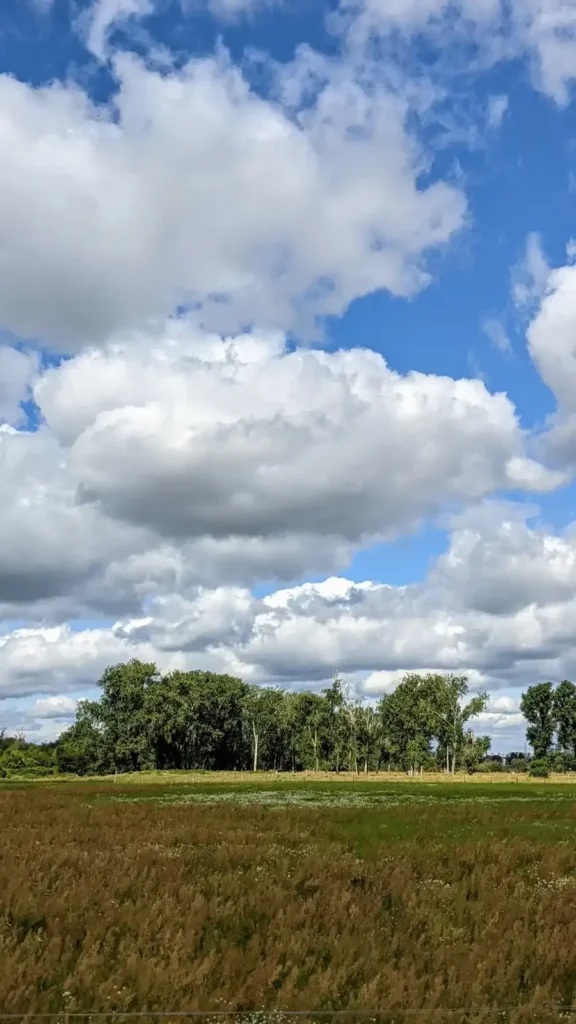 Wiese mit einzelnen Bäumen und Wolkenhimmel im Norden von Falkenberg nahe den früheren Rieselfeldern