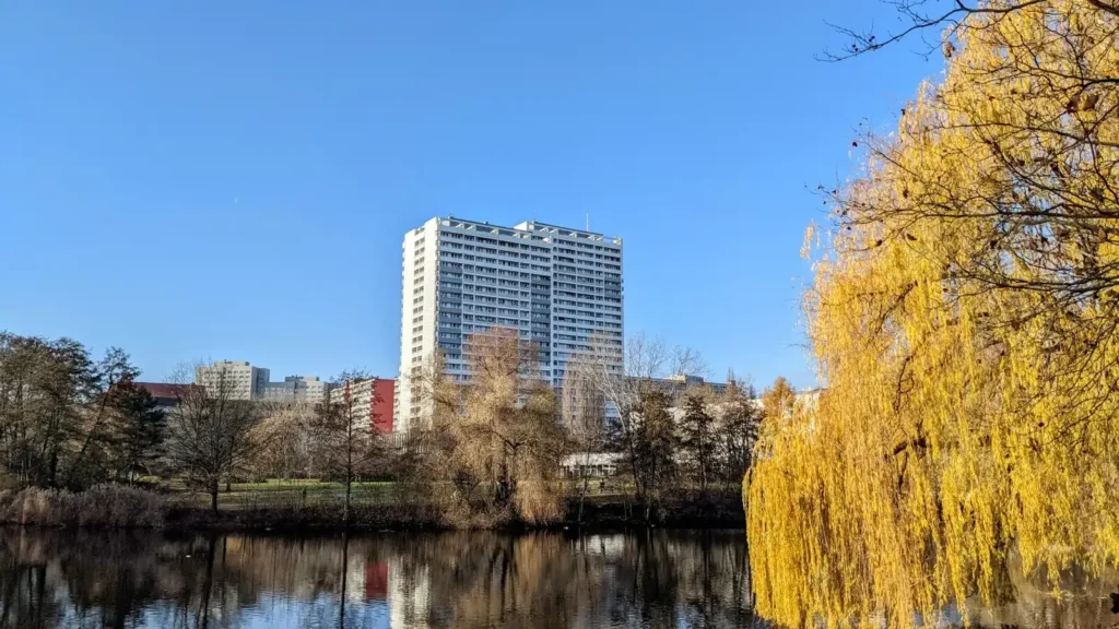 Baum mit gelbem Herbstlaub am Ufer des Sees im Fennpfuhlpark, im Hintergrund ein Hochhaus