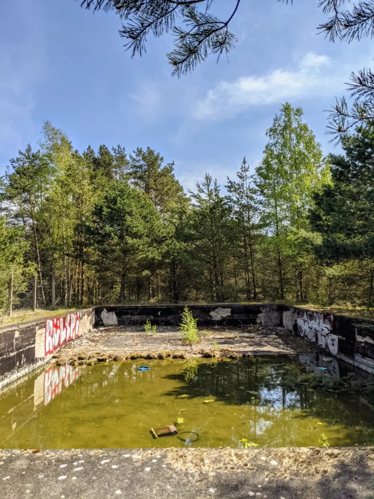 Becken mit grünem Wasser und besprühten Betonwänden im Wald bei Brand