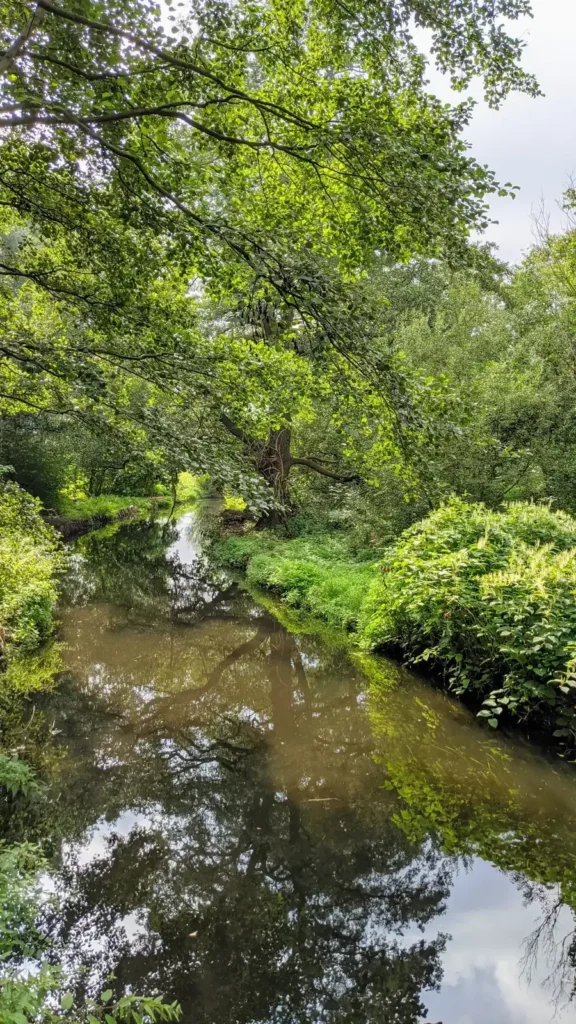 Wasserlauf mit grünen Ufern in Friedrichshagen nahe dem S-Bahnhof Hirschgarten im Spätsommer