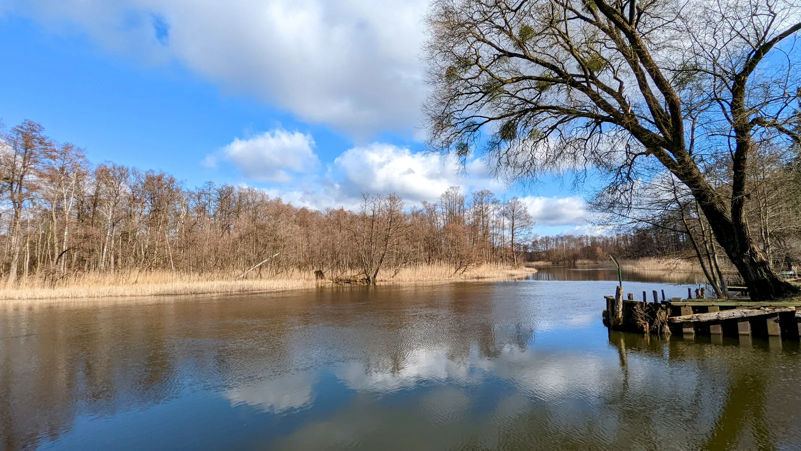 Havelarm mit alten Uferbauwerken in Fürstenberg