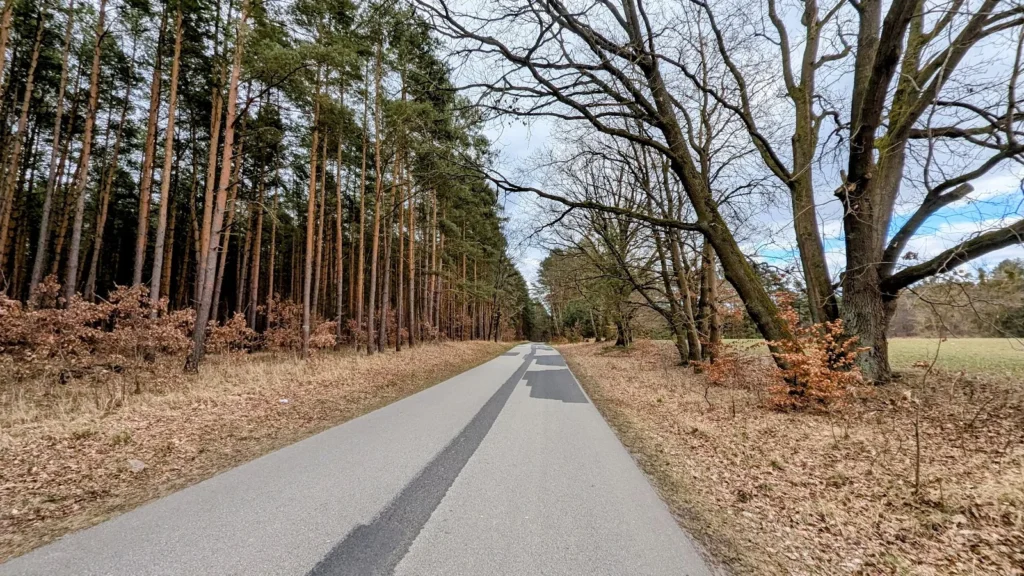 Asphaltierter Weg am Waldrand zwischen Steinhavel und Röblinsee bei Fürstenberg/Havel