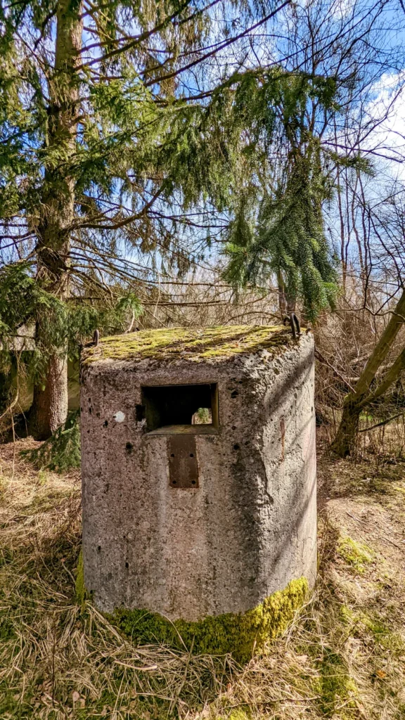 Kleines Betonhäuschen mit Sehschlitz zwischen Kiefern