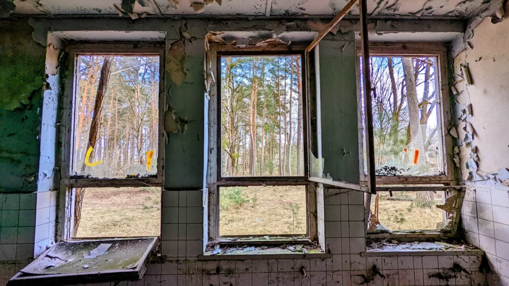 Drei Fenster mit Blick auf Kiefern, Fliesen und abblätternder Putz