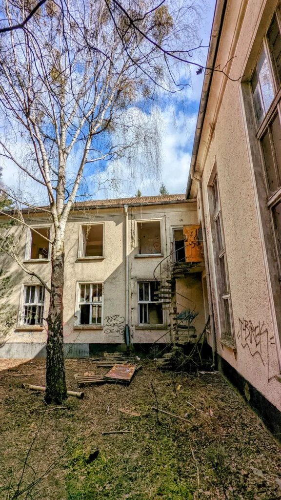 Innenhof mit Birke zwischen zwei Gebäudeflügeln