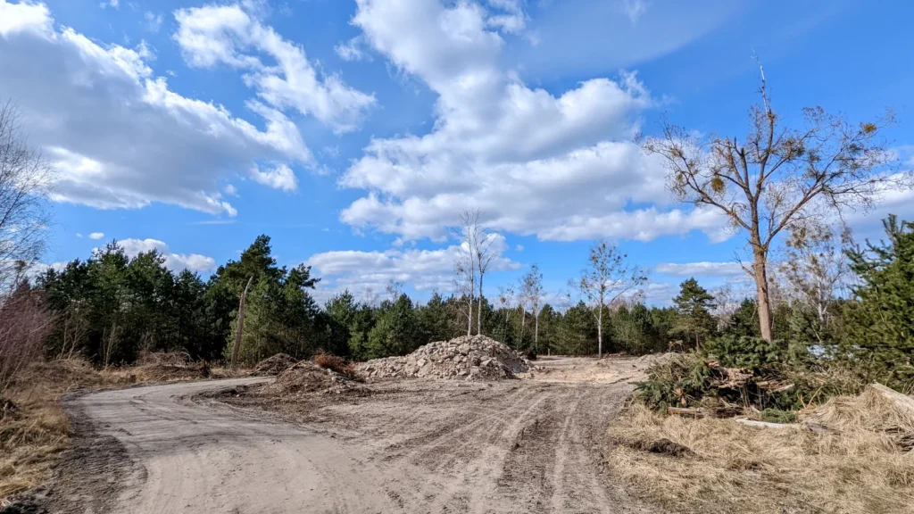 Sandiger Fahrweg mit Schutthaufen und Kiefern unter Wolkenhimmel