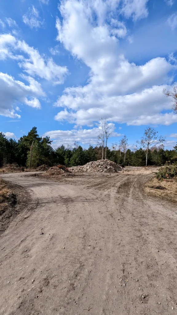 Sandiger Fahrweg mit Schutthaufen und Kiefern unter Wolkenhimmel, Hochformat