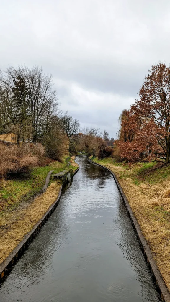 Begradigte Panke mit befestigten Ufern zwischen kahlen Bäumen und Büschen im Norden von Gesundbrunnen