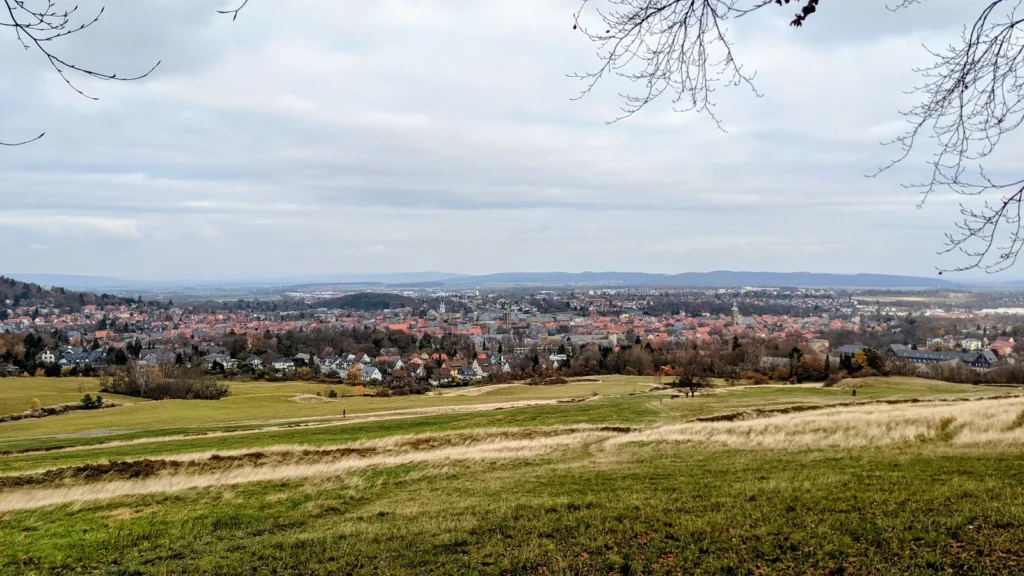 Blick vom Rammelsberg über Wiesen und die Dächer von Goslar