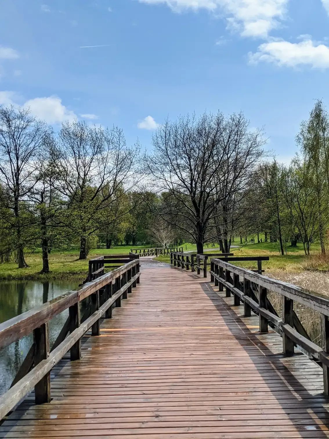 Holzsteg im Park