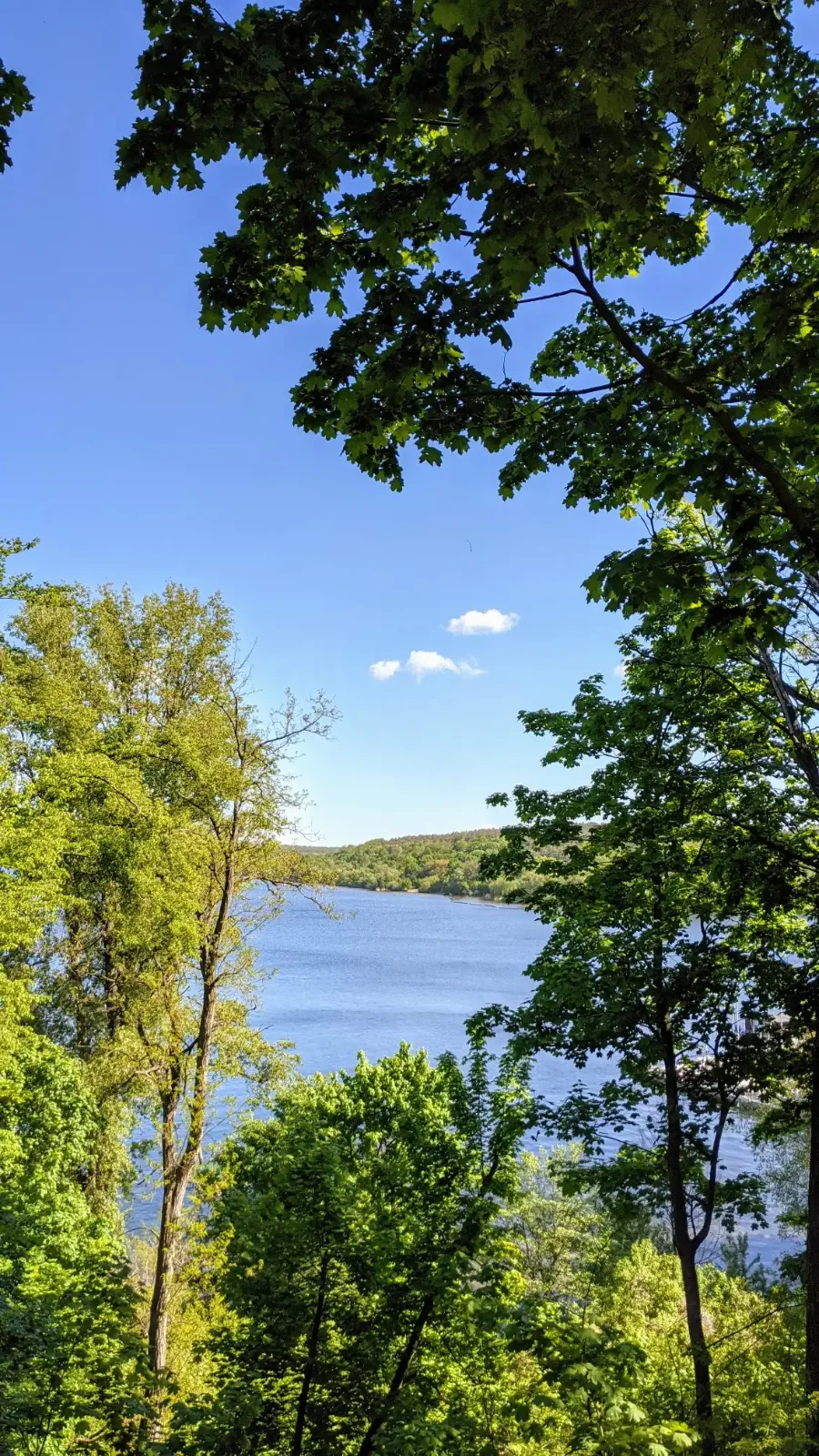 Blick durch Bäume auf die Havel