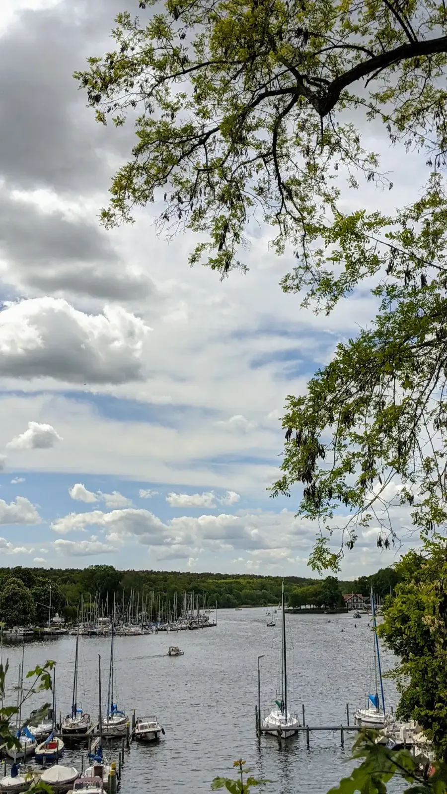 Havelufer mit Booten und Bäumen
