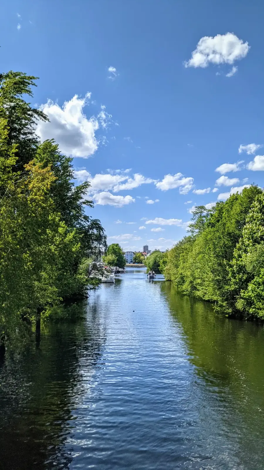 Kanal zwischen Bäumen