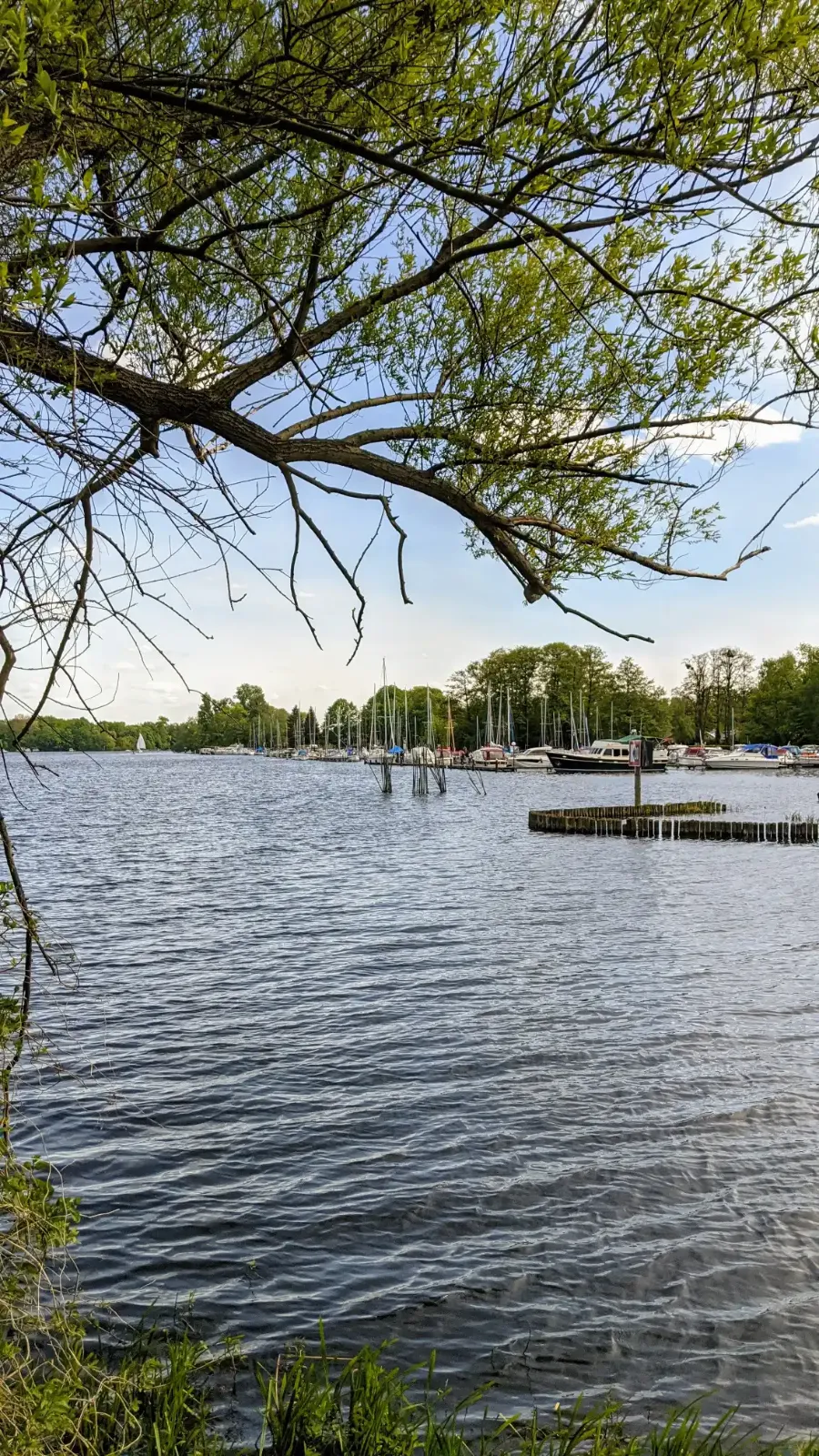 Havelufer mit Steg