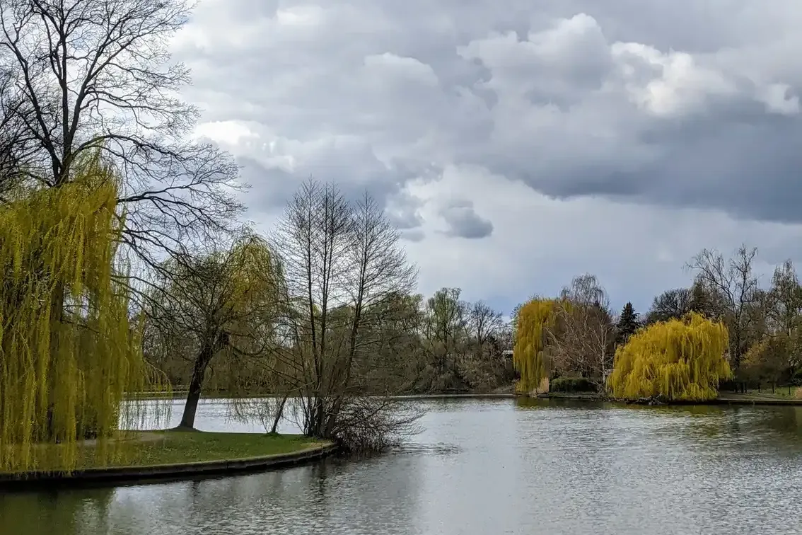 See mit Bäumen unter Wolkenhimmel