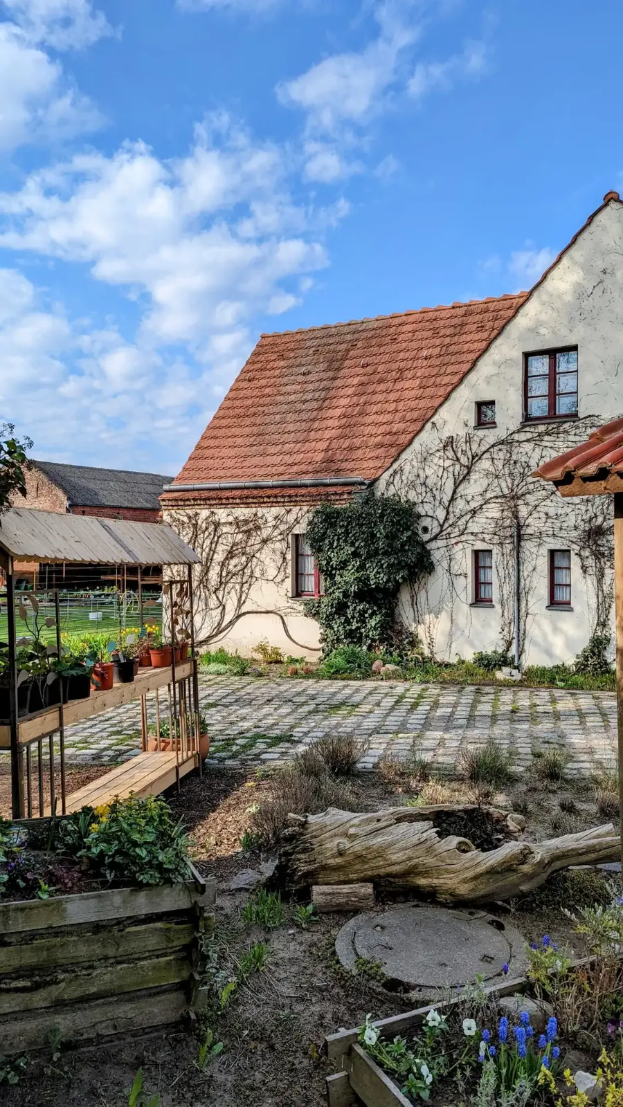 Gehöft mit Reetdach