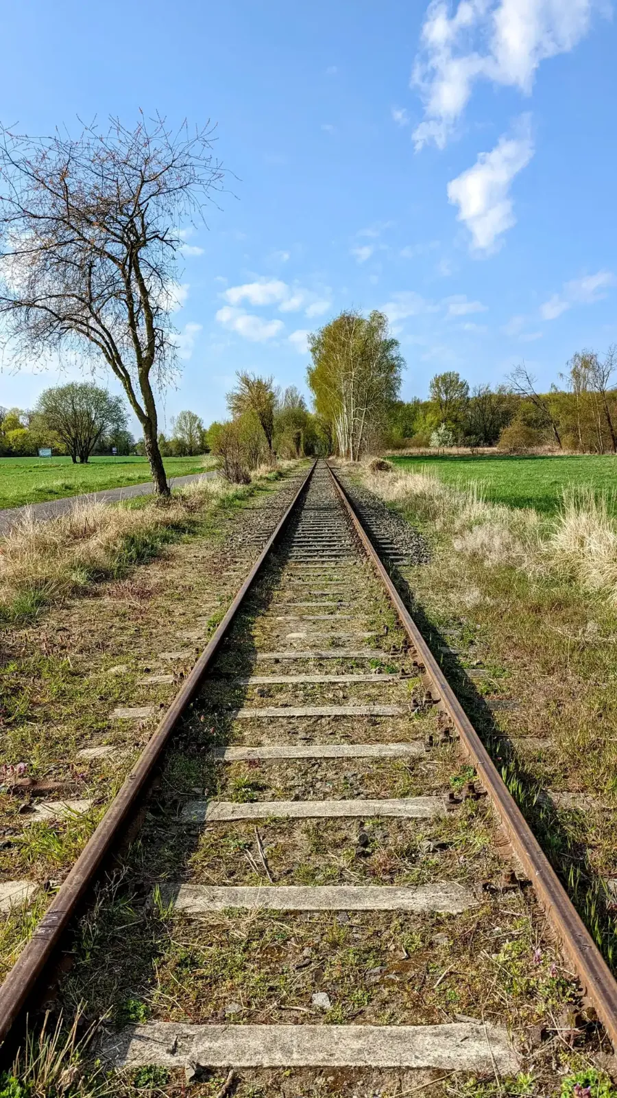 Bahngleise im Gras