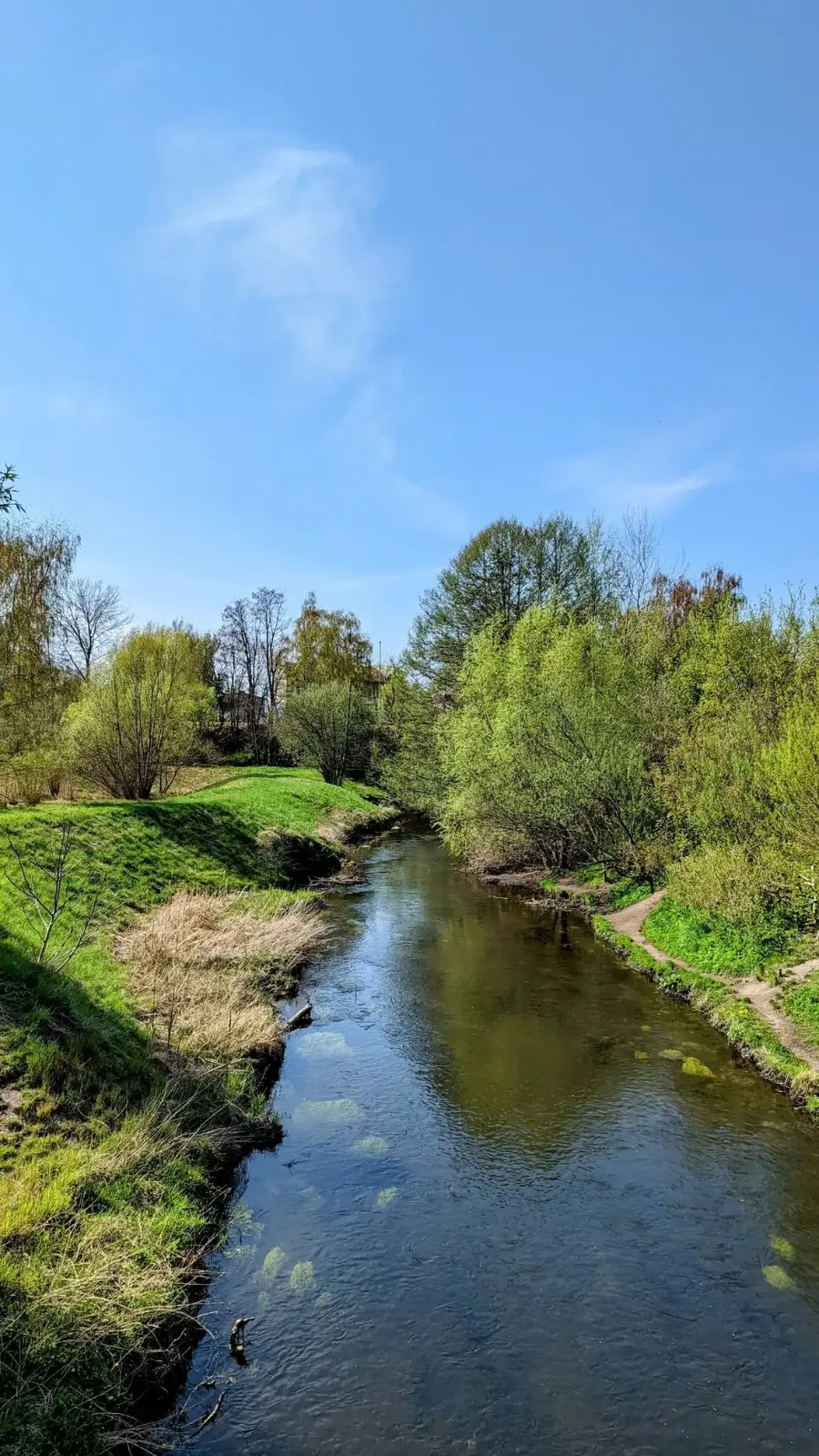 Bach zwischen Wiesen