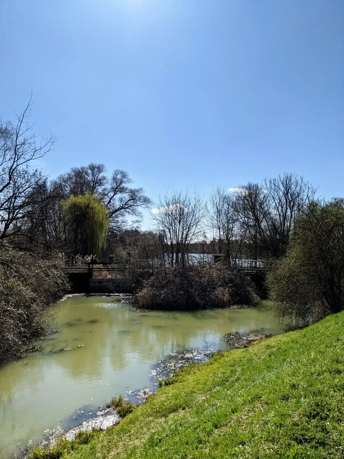Wuhle mit Brücke