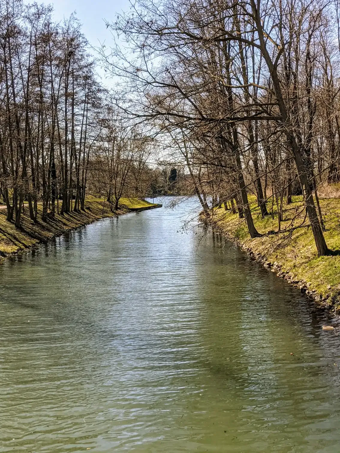 Kanalartiger Wasserlauf zwischen Bäumen