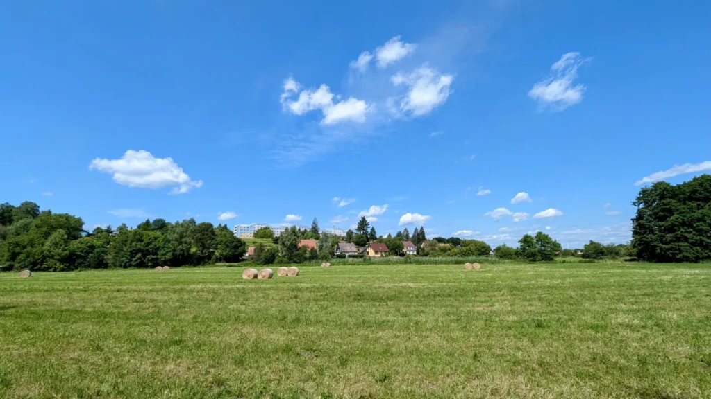 Weite gemähte Wiese am Stadtrand von Guben mit Heuballen und einer Häuserreihe hinter Bäumen