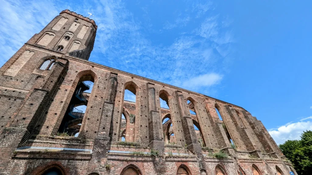 Ruine der Stadt- und Hauptkirche in Gubin: dachlose Backsteinmauern mit leeren Spitzbogenfenstern und dem Turm