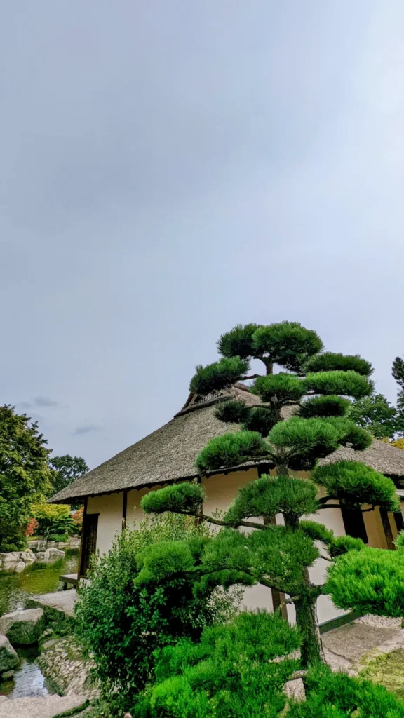 Teehaus im Japanischen Landschaftsgarten in Planten un Blomen