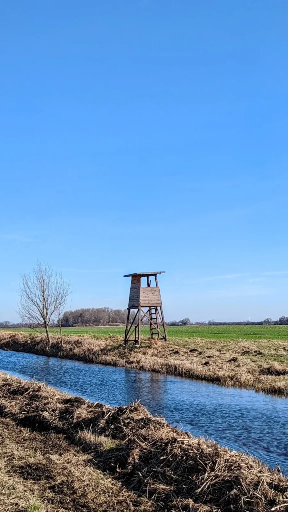 Hölzerner Aufbau auf einer offenen Wiese