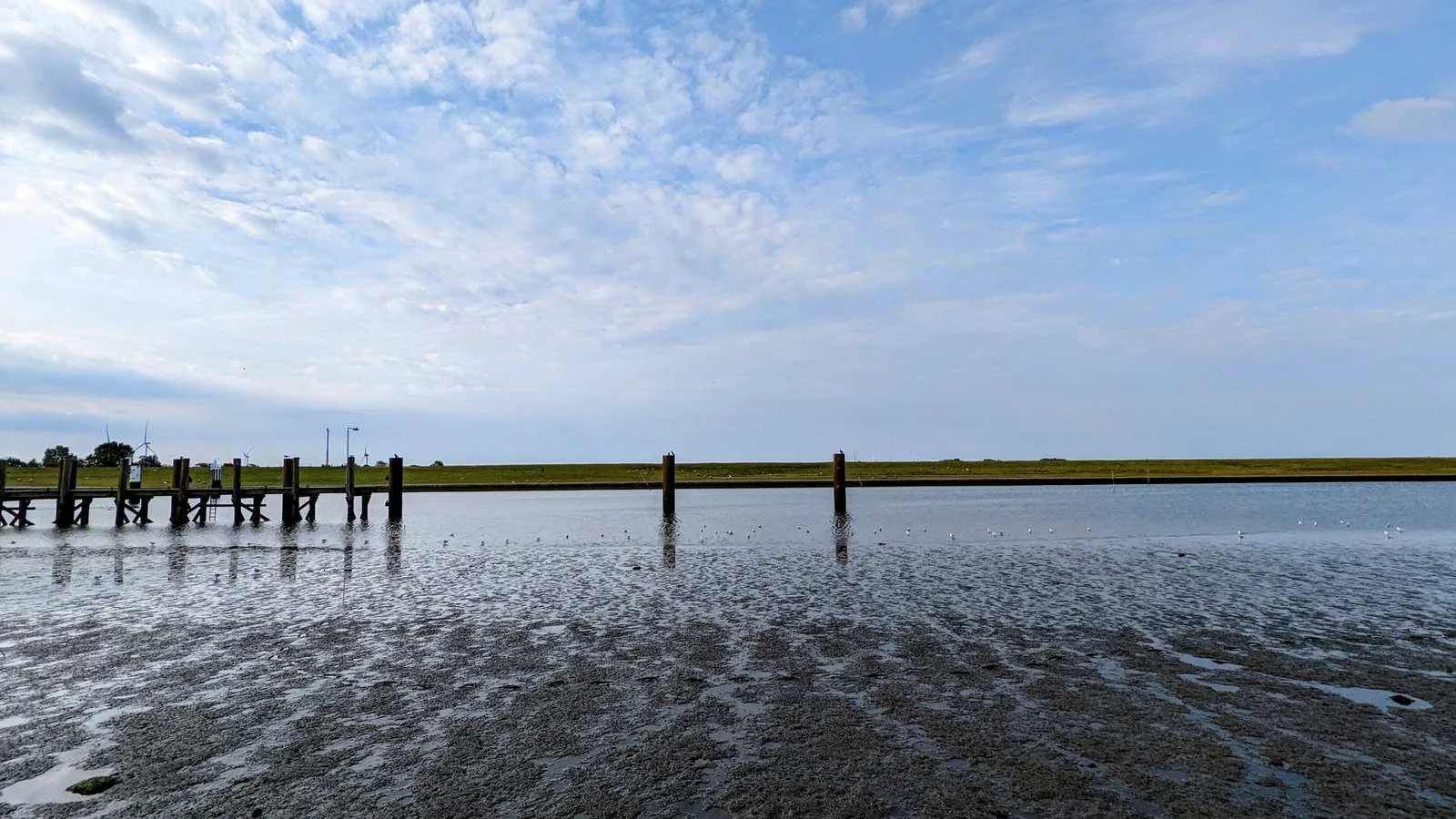 Watt vor dem Dockkoog bei Husum mit Holzpfählen im Wasser