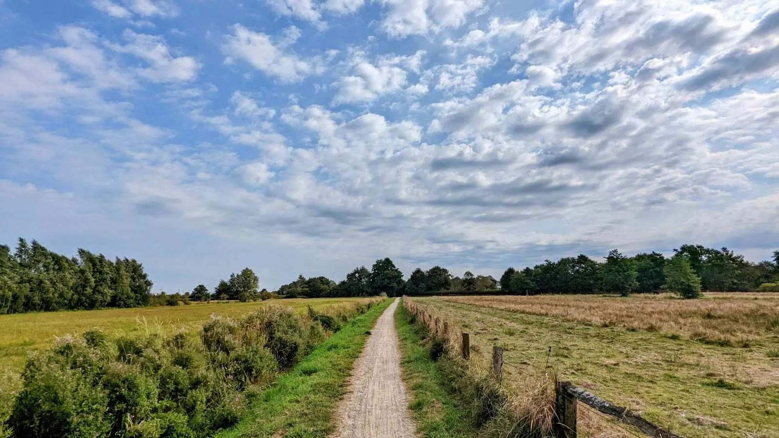 Schmaler Kiesweg zwischen Wiesen und Gräben bei Husum