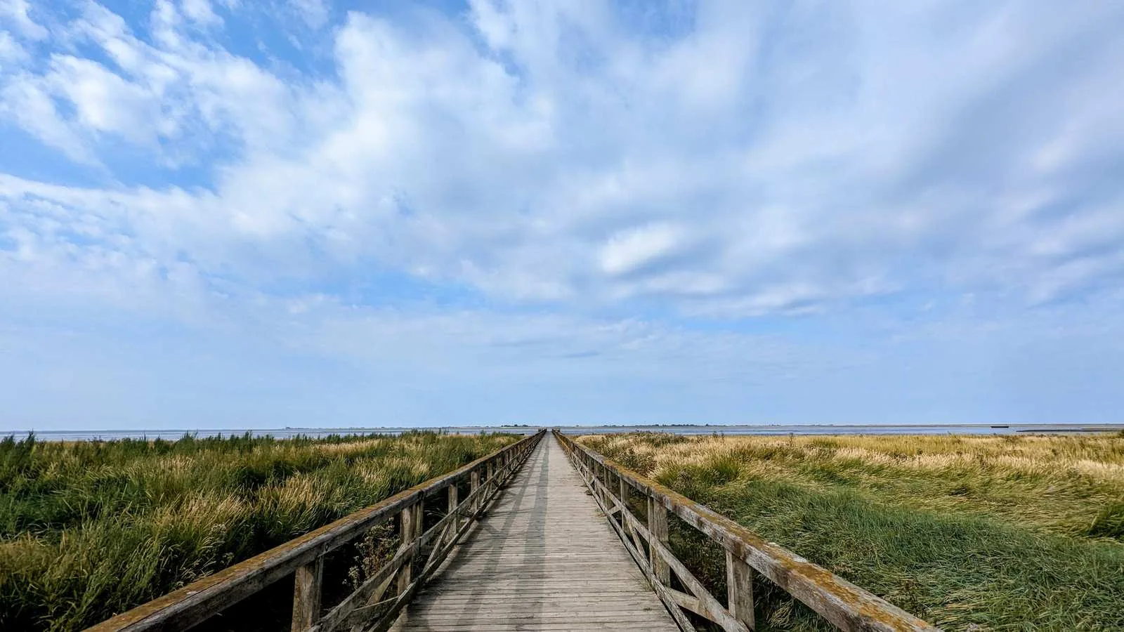 Langer Holzsteg über die Salzwiese in Schobüll mit Blick auf das Wattenmeer
