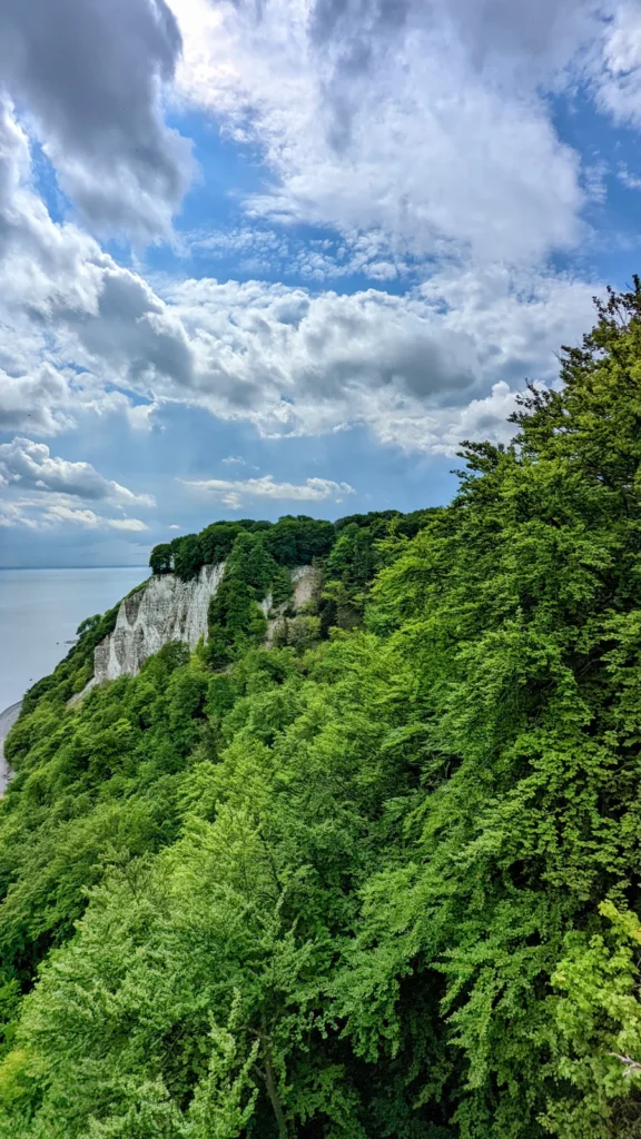 Bewaldete Kreideküste mit weißen Felsen, vom Königsstuhl aus gesehen