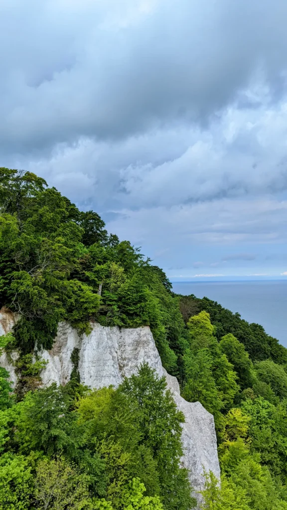 Weiße Kreidewand zwischen Buchen nahe dem Königsstuhl auf Jasmund
