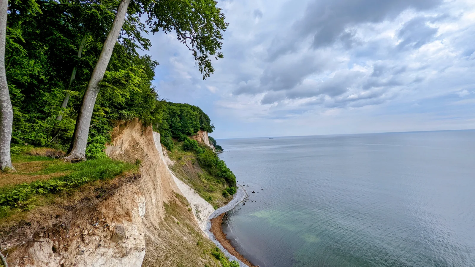 Von Sassnitz zum Königsstuhl durch den Nationalpark Jasmund