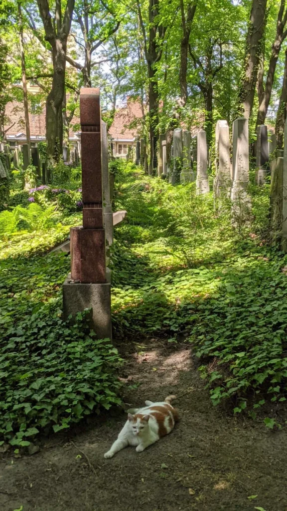 Grabfeld unter Bäumen mit einer Katze auf dem Weg, Jüdischer Friedhof Weißensee