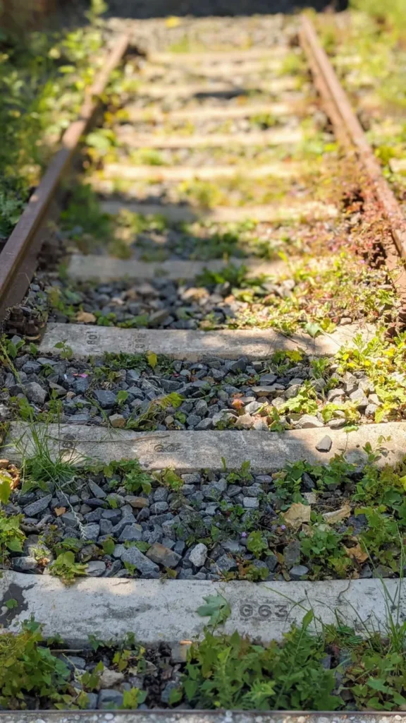 Erhaltenes Gleisstück mit rostigen Schienen auf Betonschwellen am Gedenkort Güterbahnhof Moabit