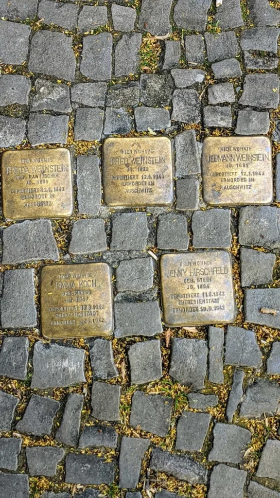 Fünf Stolpersteine in dunklem Kleinpflaster von oben fotografiert, drei in der oberen und zwei in der unteren Reihe, in den Fugen Blütenreste